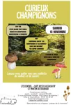 affiche curieux champignons.jpg